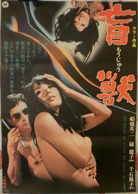 龙猫